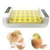 Automatski inkubator za jaja