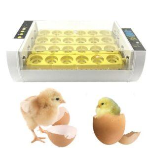 Automatski inkubator za jaja