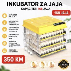 Profesionalni automatski inkubator za jaja 168 komada